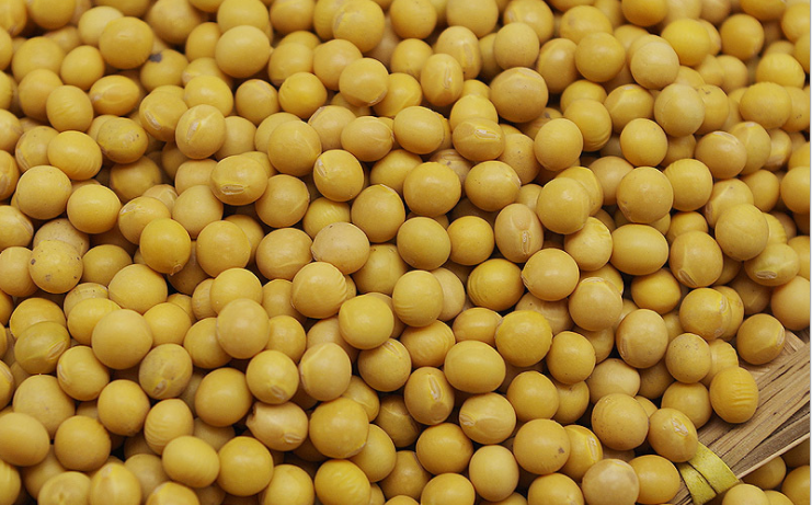 HLM飼料立式磨粉機(jī)磨黃豆 HLM飼料立式磨粉機(jī)磨黃豆